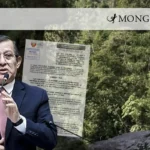 Proyecto de ley para extraer gas dentro de áreas protegidas se debate nuevamente en el Congreso peruano