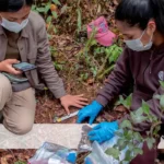 Keiko Fujimori y el desprecio del voto rural: los 16.582 votos de Huancavelica que quiso anular en 2021