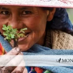 Mujeres kewiña: indígenas quechua restauran bosques andinos para proteger el agua de Bolivia